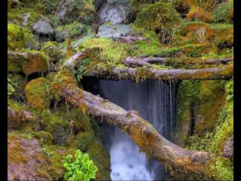 Vellezerit Paloka & Kenga e Isuf Ages