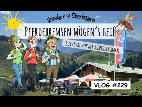 Wandern in Oberbayern (09.08.2025): Wanderung zur Königsbachalm - VLOG #229