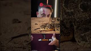 A importância do Sistema Público de Saúde SUS #biologohenrique #animais #bichoesperto #biologo