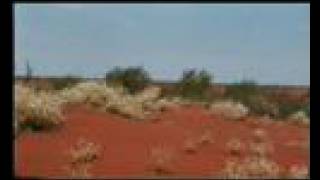 preview picture of video 'Australien 1994 Lasseter Highway zum Ayers'