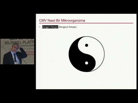 78 molekuler yontemler