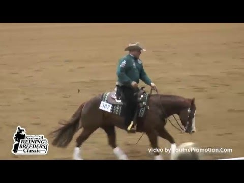 Chics San Guns ridden by Shawn Flarida  - 2014 NRBC (Prelims)