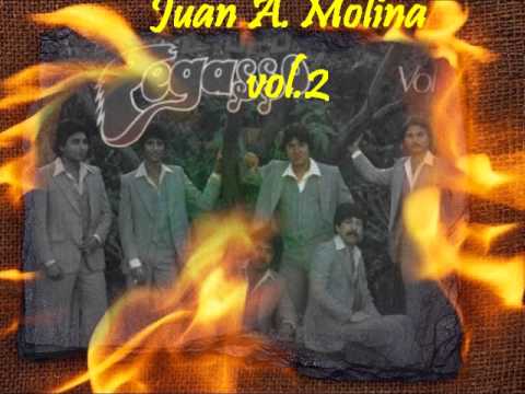 Grupo pegasso una copita mas