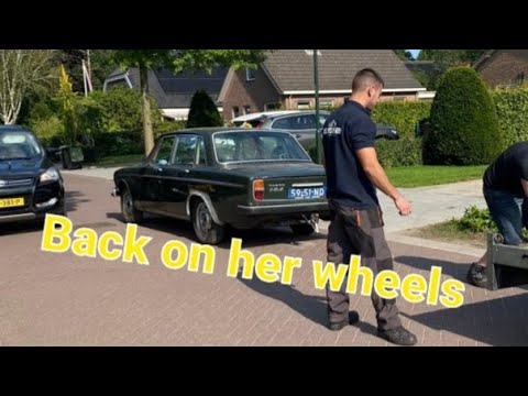 Not again!? Bought more rust Volvo 164 Rescue - Ep 7
