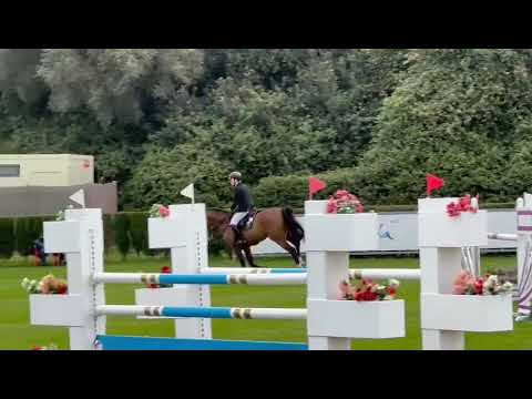 Lamaze TN (Grandorado tn x Carthago) - 7 jarigen Kars Bonhof