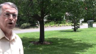 preview picture of video 'Zoysia Sod: 60 Seconds in Real Estate Cary NC'