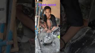 Download lagu kodok besar mp3