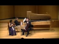 Beethoven - Piano Trio in D Major, Op 70 No 1 "Ghost" (2. Largo assai ed espressivo)