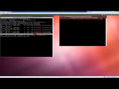 Python Simple Http Client-Server
