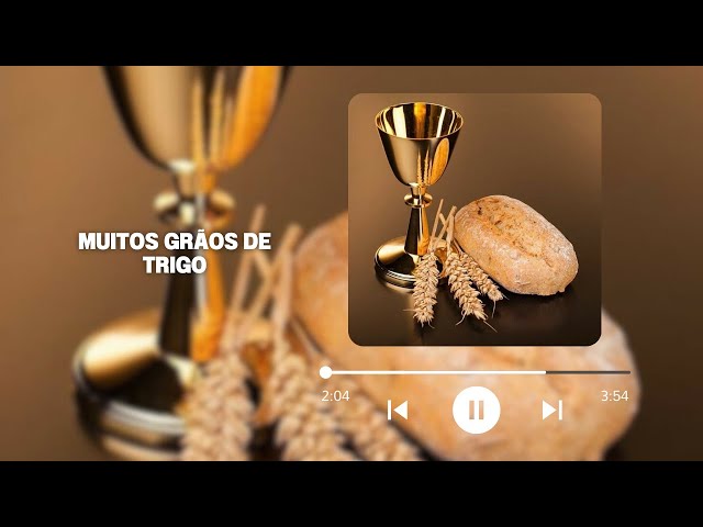 Preview do vídeo