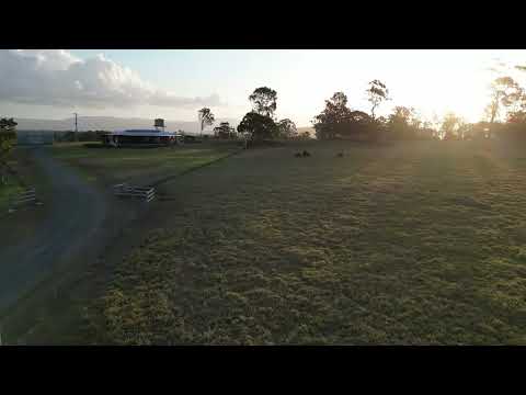 Address Withheld, Bloomsbury, QLD 4799, 3 Bedrooms, 1 Bathrooms, Lifestyle Property