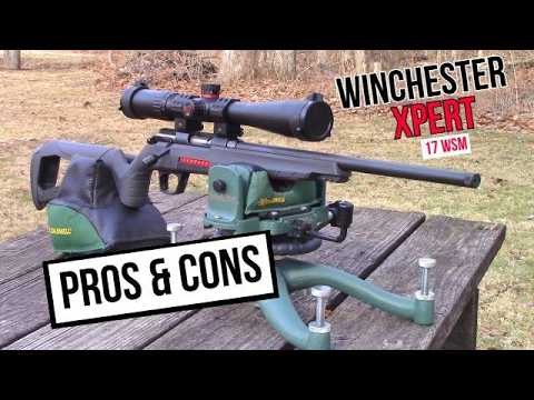 12ga Ammo Test Series: #2 Winchester Defender SLUG + 00 Buck (PDX1) | Pattern /Gel