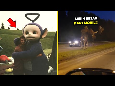 Hal-Hal yang Ternyata Ukurannya Lebih Besar dari yang Kamu Bayangkan Selama Ini