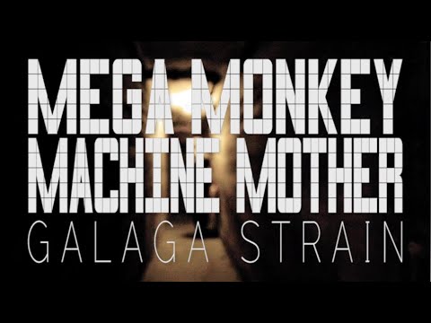 Video thumbnail for MEGA MONKEY MACHINE MOTHER: Galaga Strain