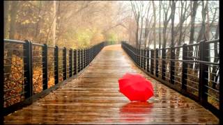 MI FRACASO/ NO TE GUARDO RENCOR