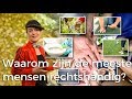 Waarom zijn de meeste mensen rechtshandig | Waarom? Daarom! | Het Klokhuis