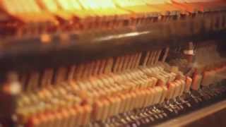 San Francisco trip 2015