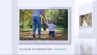 En IVF Spain hacemos realidad el sueño de muchas familias