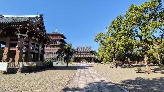【熊本ドライブVlog】道の駅巡りと絶景・温泉日帰り旅｜菊水・玉名・荒尾・南関