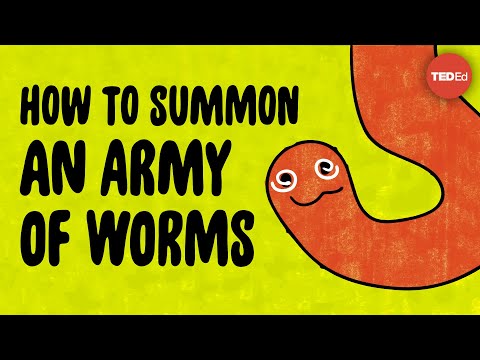 How to Summon an Army of Worms