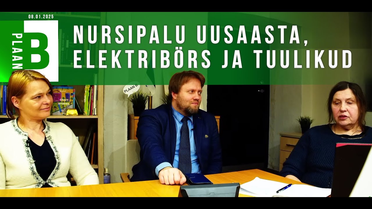 Maarika Niidumaa, Tiiu Ritari, Andro Roos: Nursipalu uusaasta, elektribörs ja tuulikud