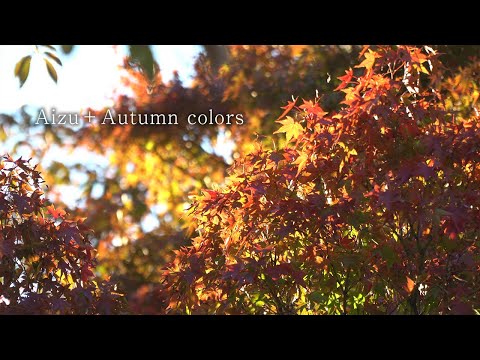 極上の会津 | Aizu＋Autumn colors
