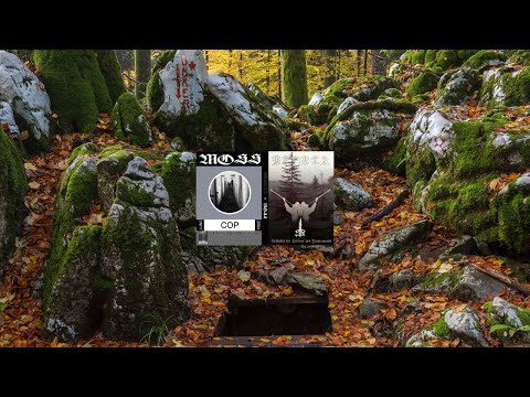 Bunkur Vs Moss [Full Split · 2004] Burzum & Swans covers