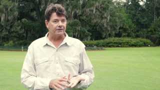 Audubon North Carolina Beach Bird Stewards