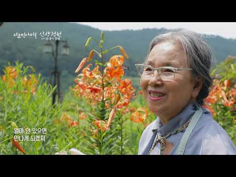 , title : '[다큐인사이트] 🌸가드닝을 꿈꾸신다면? 이 아름다운 '들꽃 정원'을 소개합니다 | “인생정원 1편, 아내의 정원” (KBS 210422 방송)'