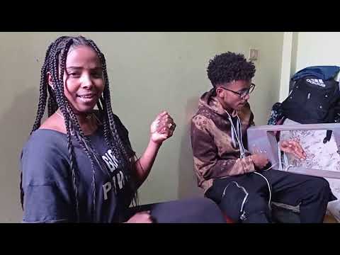 Eritrean music Nardos alazar ኩሕላይ ሰገን Remix