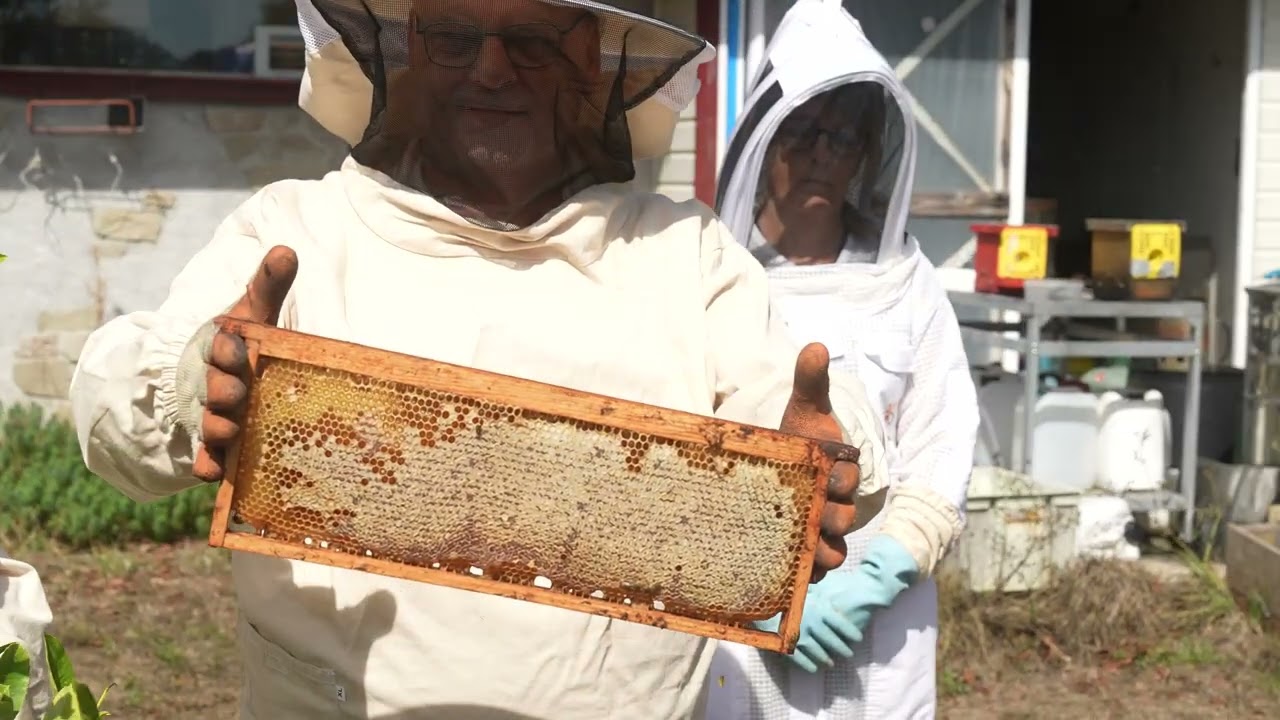 Découvrez le monde des abeilles et de l'apiculture sur une journée avec Benoit - Vidéo