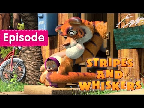 Masha and The Bear - Stripes and Whiskers 🐯 (Episode 20)