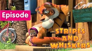 Masha and The Bear - Stripes and Whiskers 🐯 (Episode 20)