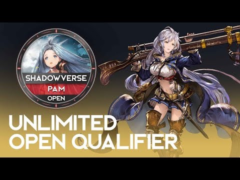 PAM Unlimited Open Qualifier - SVO 2018 Brigade of the Sky