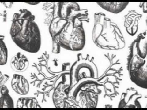 M.O. & Brakko - Die Tanga`s Yo