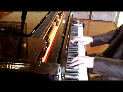 The Moth Surrenders to the Flame by William D Drake