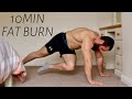 10 MIN HOME FAT BURNING HIIT WORKOUT // No Equipment Killer