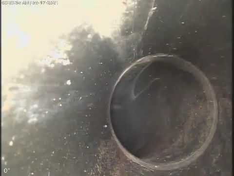 1875 E Purple Martin Lane