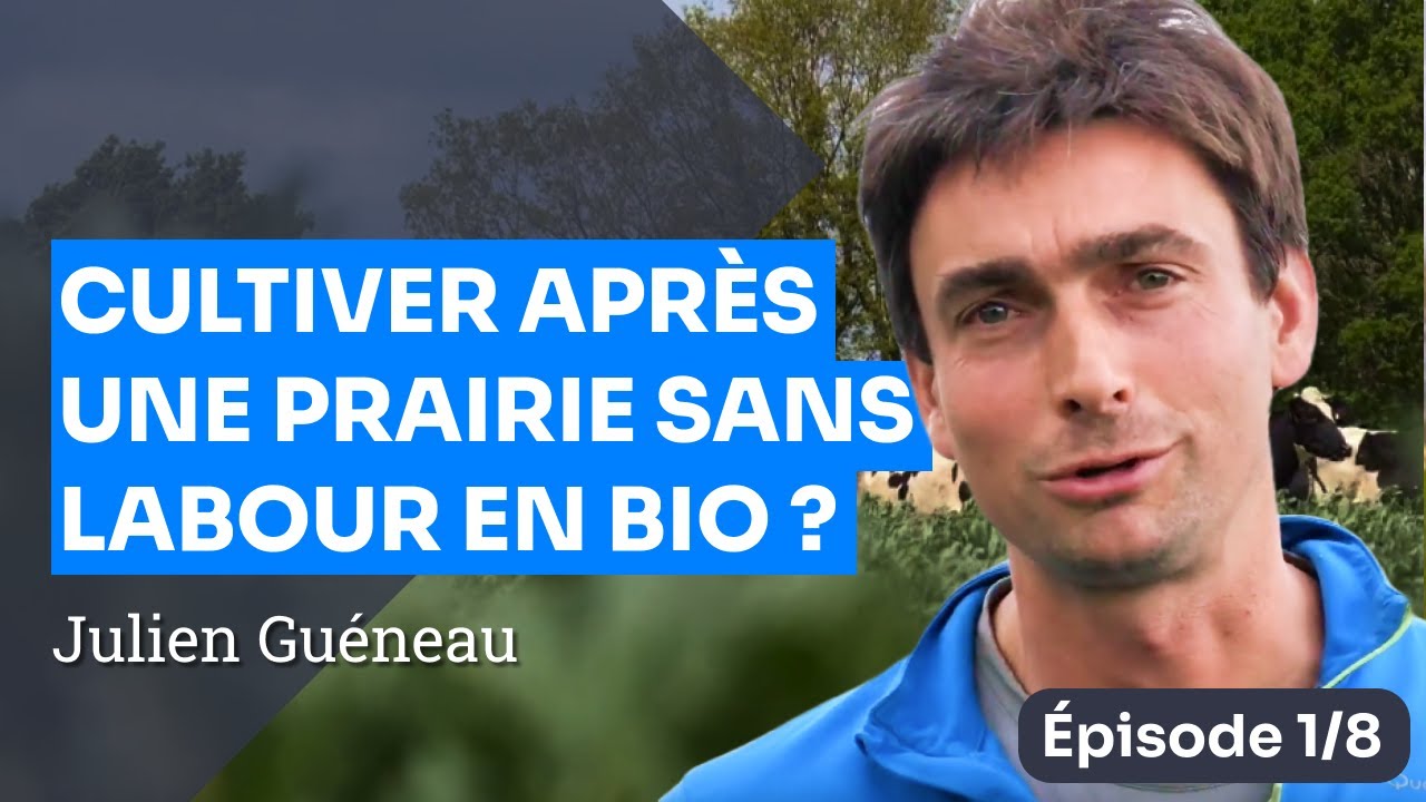 Épisode 1 : Implanter une culture en Bio sans labour après prairie, le pari du GAEC Les Jonquilles