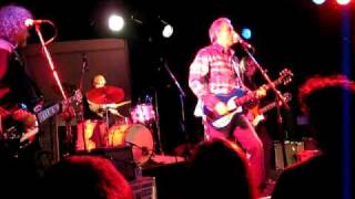 Robyn Hitchcock &amp; the Venus 3 - Out of the Picture - live