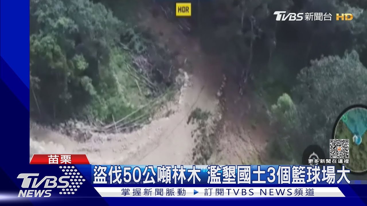 濫墾盜伐!開發露營區 砍到旁邊國有林地去