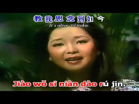 [Kara pinyin + Chinese + Engsub] The moon represents my heart | 月亮代表我的心 - Deng Li Jun