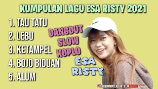 Download lagu TAU TATU, LEBU, KETAMPEL, BOJO BIDUAN, ALUM || ESA RISTY DANGDUT SLOW KOPLO mp3