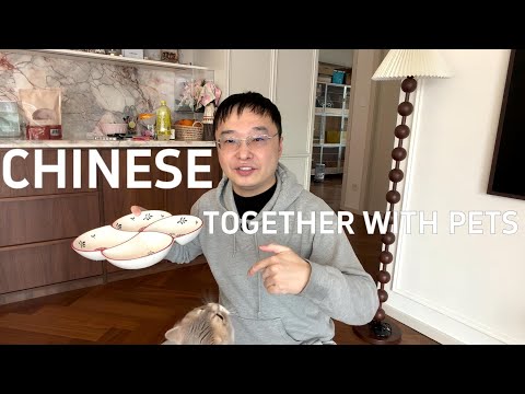 通过周末陪伴宠物来自然的学习中文(可理解性的输入)
