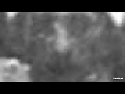 30. OH! VIRGEM DO CONFORTO - João Pereira