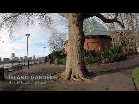 Regents Canal to Isle of Dogs, November 2020