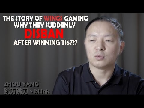 Why Wings Gaming Disbanded!!!