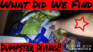 Big Lots Dumpster Diving!! We found this in the Dumpster! Trash into treasure! Trash into Cash!!