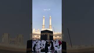 Download lagu Qalbi Fil Madinah ❤ | By Maher Zain & Harris J 🫶#madina #makkah mp3 Download lagu Qalbi Fil Madinah ❤ | By Maher Zain & Harris J 🫶#madina #makkah mp3