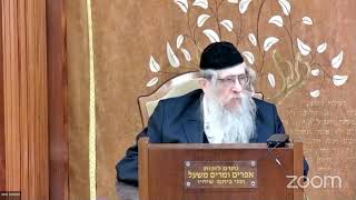 הרה"ג הרב וועכטר שליט"א ג' אדר ב' תשפ"ד - מאמר הרבי הריי"צ תרצ"ב ד"ה איש יהודי היה בששושן הבירה (הרב אברהם מנחם מענדל וכטר) - התמונה מוצגת ישירות מתוך אתר האינטרנט יוטיוב. זכויות היוצרים בתמונה שייכות ליוצרה. קישור קרדיט למקור התוכן נמצא בתוך דף הסרטון